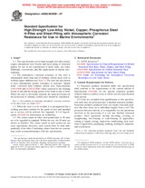 UNGÜLTIG ASTM A690/A690M-07 1.3.2007 Ansicht