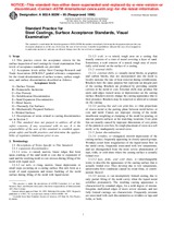 UNGÜLTIG ASTM A802/A802M-95(1996) 1.1.2001 Ansicht