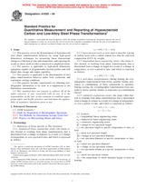 UNGÜLTIG ASTM A1033-04 1.3.2004 Ansicht