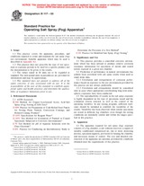 UNGÜLTIG ASTM B117-03 1.10.2003 Ansicht