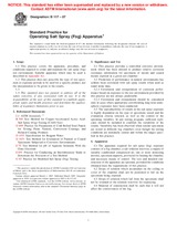 UNGÜLTIG ASTM B117-07 1.3.2007 Ansicht