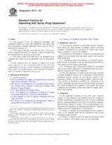 UNGÜLTIG ASTM B117-09 1.7.2009 Ansicht