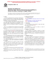 UNGÜLTIG ASTM B858-06 15.3.2006 Ansicht