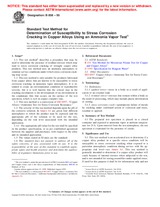 UNGÜLTIG ASTM B858-95 10.10.2001 Ansicht