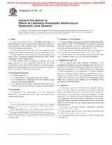UNGÜLTIG ASTM C793-04 1.7.2004 Ansicht
