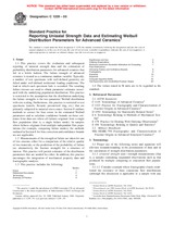 UNGÜLTIG ASTM C1239-00 10.10.2000 Ansicht