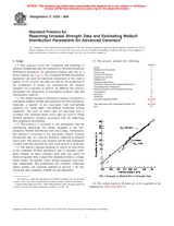 UNGÜLTIG ASTM C1239-06a 1.6.2006 Ansicht