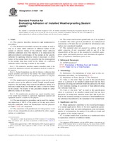 UNGÜLTIG ASTM C1521-09 1.6.2009 Ansicht
