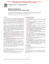 UNGÜLTIG ASTM D2573-01(2007) 1.7.2007 Ansicht