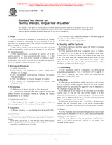 UNGÜLTIG ASTM D4704-00 10.9.2000 Ansicht