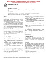 UNGÜLTIG ASTM D5065-01 10.6.2001 Ansicht