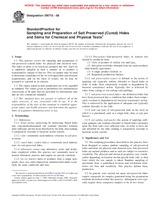 UNGÜLTIG ASTM D6715-08 1.9.2008 Ansicht