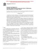UNGÜLTIG ASTM D7016-04 1.7.2004 Ansicht