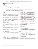 UNGÜLTIG ASTM E1437-98 10.4.1998 Ansicht