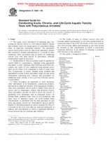 UNGÜLTIG ASTM E1562-00 10.4.2000 Ansicht