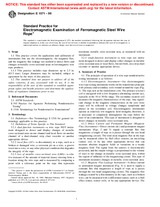 UNGÜLTIG ASTM E1571-96 10.2.2001 Ansicht
