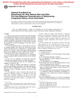 UNGÜLTIG ASTM E1740-00 10.11.2001 Ansicht