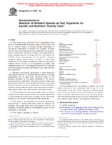 UNGÜLTIG ASTM E1850-04 1.7.2004 Ansicht