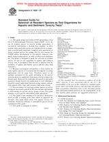 UNGÜLTIG ASTM E1850-97 10.3.1997 Ansicht