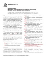 UNGÜLTIG ASTM E1907-06 1.7.2006 Ansicht