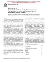 UNGÜLTIG ASTM E1913-04 1.4.2004 Ansicht