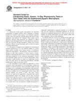 UNGÜLTIG ASTM E1913-97 10.10.1997 Ansicht