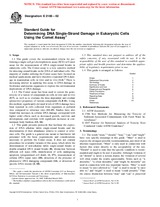 UNGÜLTIG ASTM E2186-02 10.1.2002 Ansicht