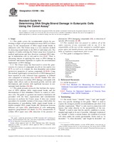 UNGÜLTIG ASTM E2186-02a 10.4.2003 Ansicht