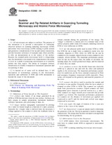 UNGÜLTIG ASTM E2382-04 1.8.2004 Ansicht