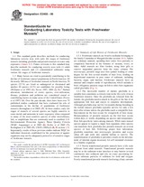 UNGÜLTIG ASTM E2455-06 1.4.2006 Ansicht