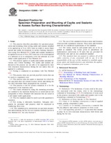 UNGÜLTIG ASTM E2690-10e1 15.8.2010 Ansicht