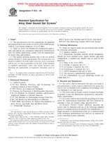 UNGÜLTIG ASTM F912-04 1.8.2004 Ansicht
