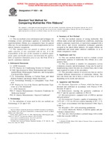 UNGÜLTIG ASTM F1051-00 10.2.2000 Ansicht