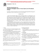 UNGÜLTIG ASTM F1163-04 1.6.2004 Ansicht