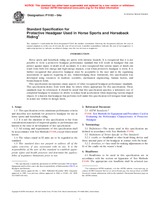 UNGÜLTIG ASTM F1163-04a 1.12.2004 Ansicht
