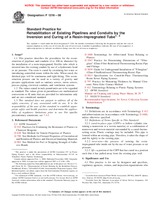 UNGÜLTIG ASTM F1216-08 1.11.2008 Ansicht