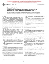 UNGÜLTIG ASTM F1216-98 10.12.1998 Ansicht