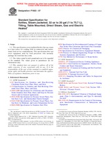 Ansicht ASTM F1603-07 1.10.2007
