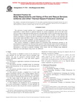 UNGÜLTIG ASTM F1731-96(2002) 10.8.1996 Ansicht
