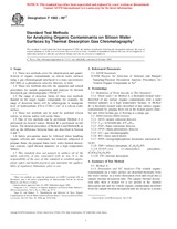 UNGÜLTIG ASTM F1982-99e1 7.10.1999 Ansicht