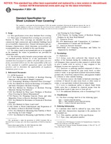 UNGÜLTIG ASTM F2034-00 10.3.2001 Ansicht