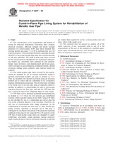 UNGÜLTIG ASTM F2207-02 10.9.2002 Ansicht