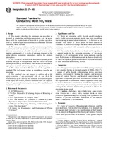 UNGÜLTIG ASTM G87-98 10.4.1998 Ansicht
