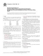 UNGÜLTIG ASTM A782/A782M-06 1.3.2006 Ansicht