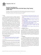 UNGÜLTIG ASTM B368-09 15.4.2009 Ansicht