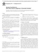 UNGÜLTIG ASTM B771-11(2017) 1.4.2017 Ansicht