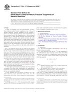 UNGÜLTIG ASTM E1304-97(2008)e1 1.11.2008 Ansicht