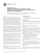 UNGÜLTIG ASTM F1210-08 1.3.2008 Ansicht