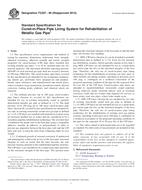 UNGÜLTIG ASTM F2207-06(2013) 1.8.2013 Ansicht