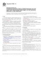 UNGÜLTIG ASTM F2838-10 1.5.2010 Ansicht
